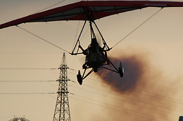 Flying Fox