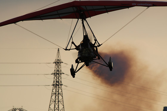 Flying Fox - photo 5