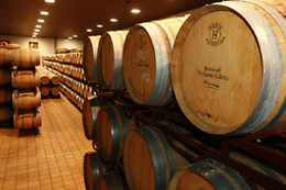 BODEGAS NAVARRO LÓPEZ