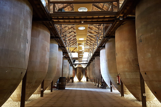 BODEGAS NAVARRO LÓPEZ - photo 2