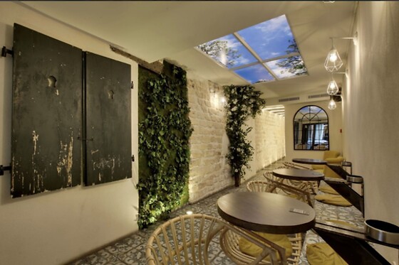IVY - photo 8