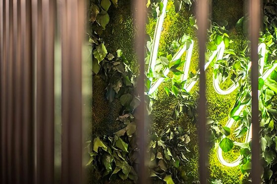 IVY - photo 9