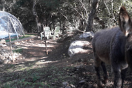 La Ferme Aventure 66