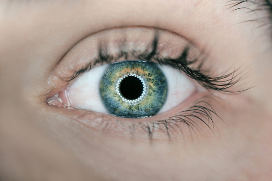 Johanna Tracz - photo 5