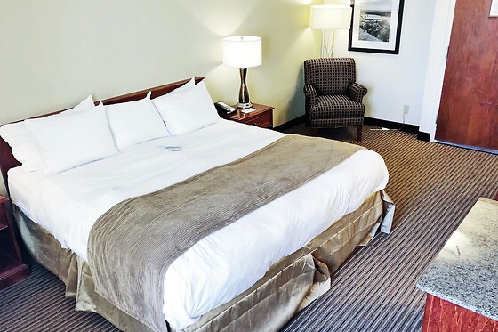 Online Booking EPS - photo 1