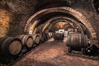 Visita della cantina e degustazione presso Cantine del Notaio in provincia di Potenza