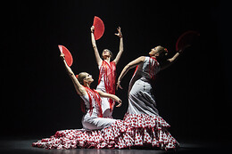TEATRO FLAMENCO BARCELONA