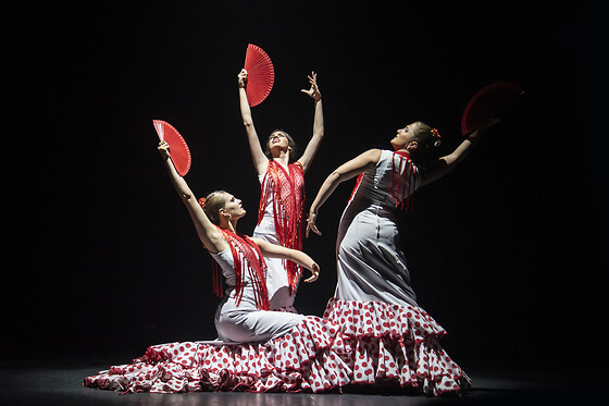 TEATRO FLAMENCO BARCELONA - photo 2