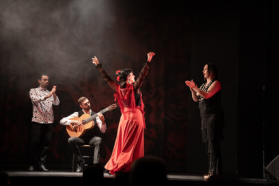 TEATRO FLAMENCO BARCELONA - photo 3