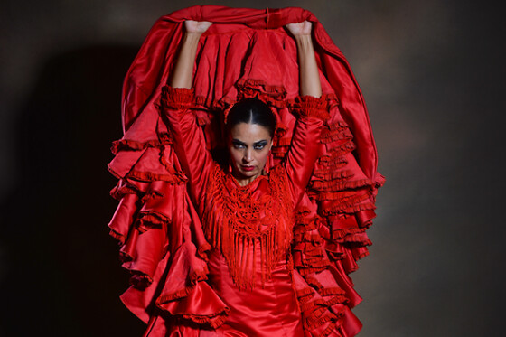 TEATRO FLAMENCO BARCELONA - photo 5