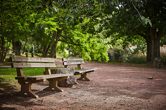 Les Jardins de l'Anjou - photo 15