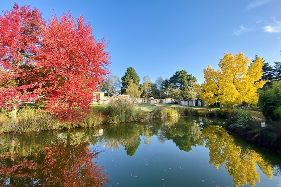 Les Jardins de l'Anjou - photo 6