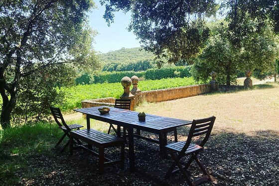 BODEGAS PAGO DE LARRAINZAR - photo 12