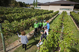 BODEGAS PAGO DE LARRAINZAR