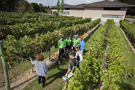 BODEGAS PAGO DE LARRAINZAR - photo 13