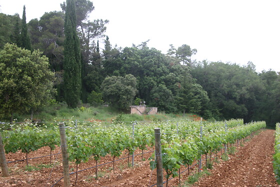 BODEGAS PAGO DE LARRAINZAR - photo 14