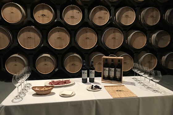 BODEGAS PAGO DE LARRAINZAR - photo 1