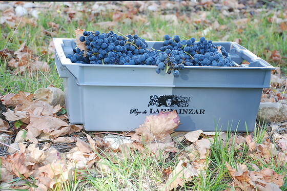 BODEGAS PAGO DE LARRAINZAR - photo 3
