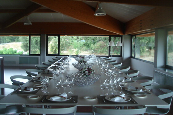 BODEGAS PAGO DE LARRAINZAR - photo 6