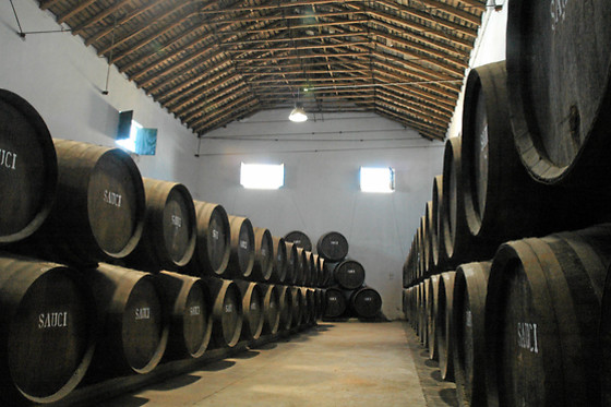 BODEGAS SAUCI - photo 0