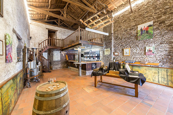 Chateau du Bois Huaut - photo 9