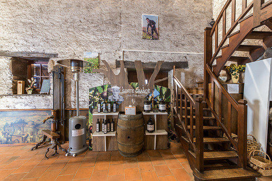 Chateau du Bois Huaut - photo 14