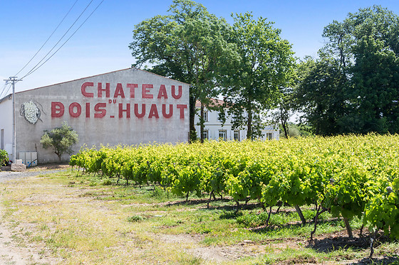 Chateau du Bois Huaut - photo 6