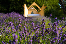 Agriturismo Verdita