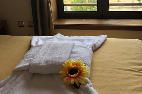 Hotel Rural Senhora de Pereiras - photo 4