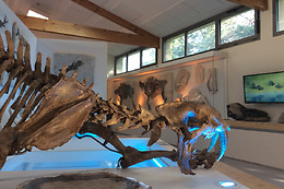 Muséum de l'Ardèche