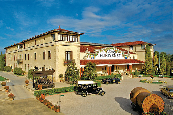 HOTEL ATENEA PARK SUITES-APARTAMENTS - photo 6